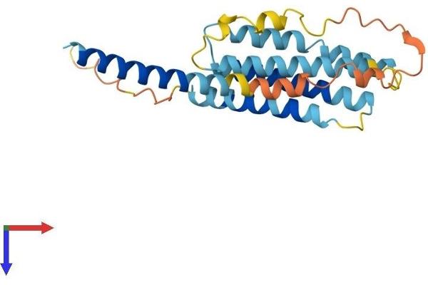 TMEM98 Protein (AA 1-226) (His tag)