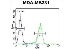 YWHAZ Antibody (Center) (ABIN652428 and ABIN2842220) flow cytometric analysis of MDA-M cells (right histogram) compared to a negative control cell (left histogram).