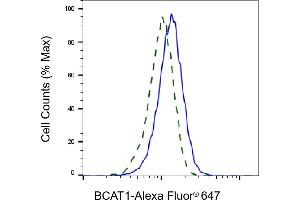 Validation of BCAT1 knockdown using flow cytometry. (BCAT1 Antikörper)