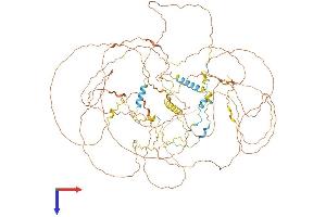 MAP6 Protein (AA 1-906) (His tag)