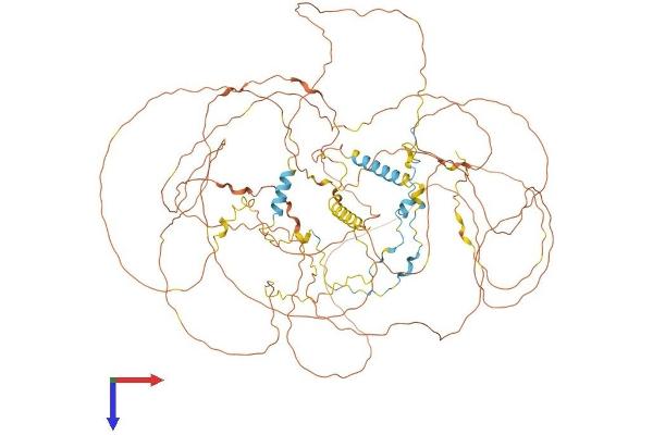 MAP6 Protein (AA 1-906) (His tag)