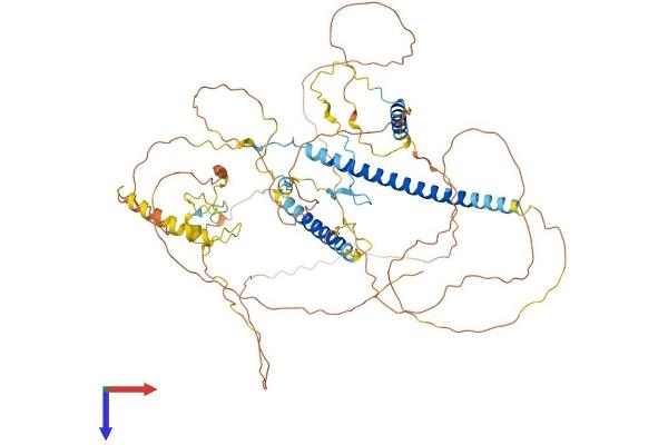 RNF169 Protein (AA 1-694) (His tag)