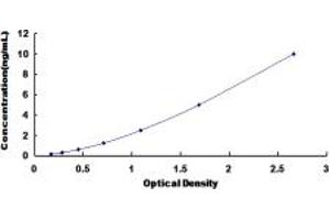 Typical standard curve (CYP1A1 ELISA Kit)