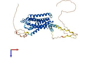 ADRB1 Protein (AA 1-466) (His tag)