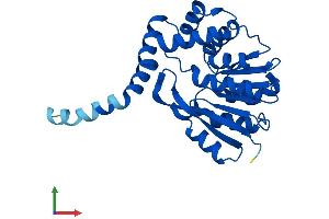Protein Structure (PS) image for Transmembrane O-Methyltransferase (TOMT) (AA 1-258) protein (His tag) (ABIN7561857)