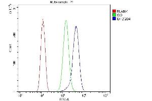 Flow Cytometry analysis of SiHa cells using anti- IDH2 antibody (ABIN7602785).