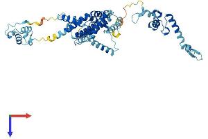 SF3A3 Protein (AA 1-501) (His tag)