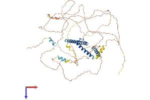 TCF3 Protein (AA 1-651) (His tag)