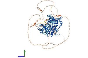 Protein Structure (PS) image for MAP/microtubule Affinity-Regulating Kinase 3 (MARK3) (AA 1-753) protein (His tag) (ABIN7563585)
