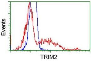 HEK293T cells transfected with either RC203947 overexpress plasmid (Red) or empty vector control plasmid (Blue) were immunostained by anti-TRIM2 antibody (ABIN2454057), and then analyzed by flow cytometry. (TRIM2 Antikörper  (AA 1-100, AA 645-744))