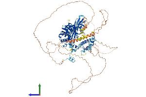 AlphaFold protein structure predicition of Human Recombinant TGS1 Protein, UniprotID Q96RS0