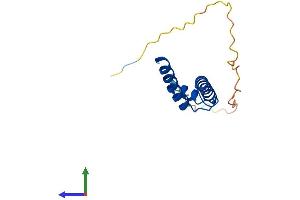 Protein Structure (PS) image for Nescient Helix Loop Helix 2 (NHLH2) (AA 1-135) protein (His tag) (ABIN7548263)