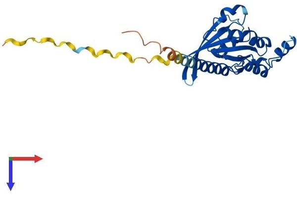 RHOV Protein (AA 1-236) (His tag)