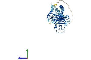 Protein Structure (PS) image for Tripartite Motif Family-Like 1 (TRIML1) (AA 1-468) protein (His tag) (ABIN7544593)