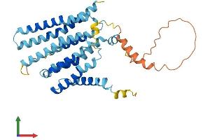 AlphaFold protein structure predicition of Mouse Recombinant Tmem236 Protein, UniprotID A2ARJ3