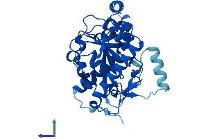 AlphaFold protein structure predicition of Human Recombinant MOGAT2 Protein, UniprotID Q3SYC2