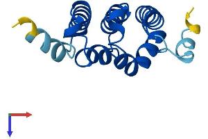 AlphaFold protein structure predicition of Human Recombinant STAG3L2 Protein, UniprotID P0CL84