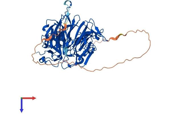 RCC2 Protein (AA 1-520) (His tag)