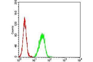 Flow cytometric analysis of Hela cells using SAG2 mouse mAb (green) and negative control (red). (Surface Antigen 2B Antikörper  (AA 1-130))