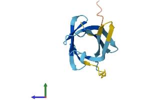 AlphaFold protein structure predicition of Mouse Recombinant Tcl1b1 Protein, UniprotID P56840