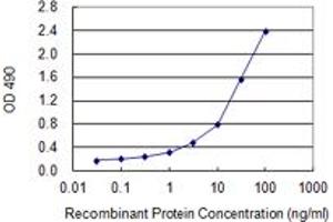 Sandwich ELISA detection sensitivity ranging from 0. (PPP3R2 (Human) Matched Antibody Pair)