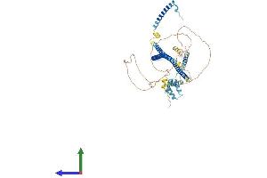 Protein Structure (PS) image for RAB11 Family Interacting Protein 4 (Class II) (RAB11FIP4) (AA 1-637) protein (His tag) (ABIN7555209)