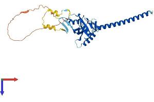 RASSF4 Protein (AA 1-321) (His tag)