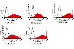 FACS analysis of BOSC23 cells using D14HD11. (CD66acde Antikörper)