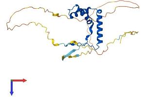 SOX14 Protein (AA 1-240) (His tag)