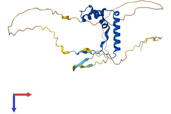 SOX14 Protein (AA 1-240) (His tag)