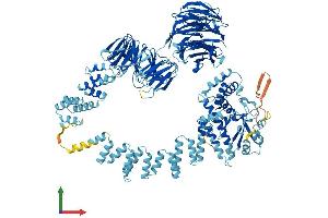 Protein Structure (PS) image for Intraflagellar Transport 122 (IFT122) (AA 1-1182) protein (His tag) (ABIN7564059)