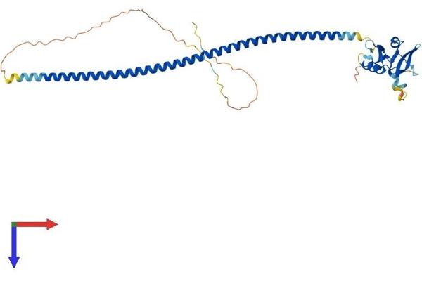 CD72 Protein (AA 1-354) (His tag)