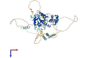 FIGNL1 Protein (AA 1-674) (His tag)