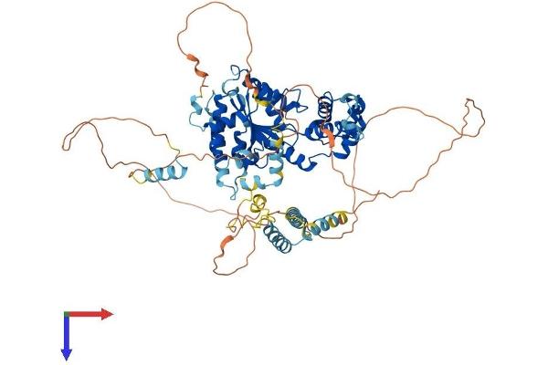 FIGNL1 Protein (AA 1-674) (His tag)