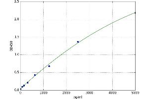 Hyaluronan Synthase 3 (HAS3) ELISA Kit