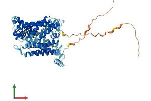 Protein Structure (PS) image for Solute Carrier Family 7 (Neutral Amino Acid Transporter Light Chain, Asc System), Member 10 (SLC7A10) (AA 1-523) protein (His tag) (ABIN7551751)