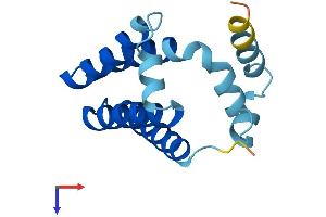 GOLT1B Protein (AA 1-138) (His tag)