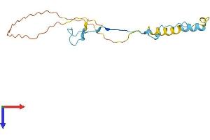SNRNP27 Protein (AA 1-155) (His tag)