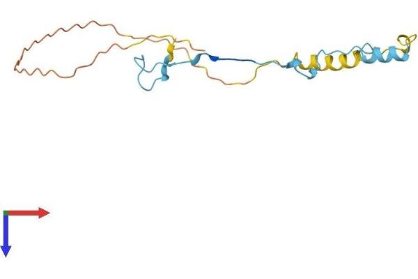 SNRNP27 Protein (AA 1-155) (His tag)