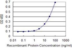 Detection limit for recombinant GST tagged ABLIM1 is 1 ng/ml as a capture antibody. (ABLIM1 Antikörper  (AA 637-736))