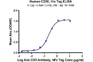 Immobilized Human CD3E at 1 μg/mL (100 μL/Well). (CD3 epsilon Protein (CD3E) (His tag))