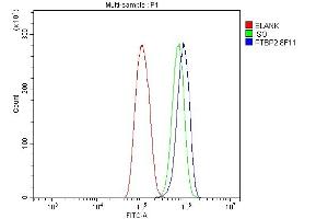 Flow Cytometry analysis of THP-1 cells using anti-PTBP2 antibody (ABIN7599454).