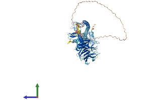 Protein Structure (PS) image for Tripartite Motif Containing 56 (TRIM56) (AA 1-734) protein (His tag) (ABIN7558360)