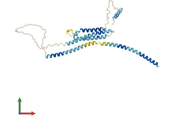 Syntaxin 18 Protein (STX18) (AA 1-335) (His tag)