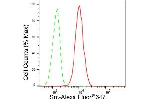 Flow cytometric analysis of Src expression in C2C12 cells using Src antibody (ABIN7800053), 1:2,000).