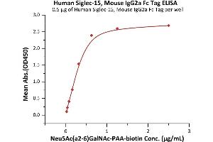 Immobilized Human Siglec-15, Mouse IgG2a Fc Tag (ABIN6992323) at 5 μg/mL (100 μL/well) on Diamond Protein A Protein, His Tag precoated (0.