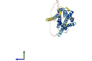 Protein Structure (PS) image for Duffy Blood Group, Chemokine Receptor (DARC) (AA 1-334) protein (His tag) (ABIN7565127)