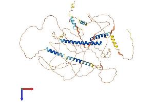 TCF12 Protein (AA 1-706) (His tag)