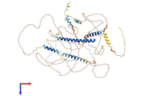 TCF12 Protein (AA 1-706) (His tag)