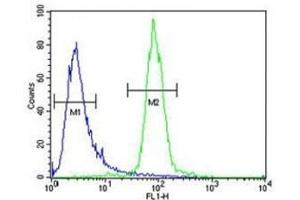 RPEL1 antibody flow cytometric analysis of K562 cells (green) compared to a negative control cell (blue). (Ribulose-5-Phosphate-3-Epimerase-Like (RPEL1) (AA 187-215) Antikörper)